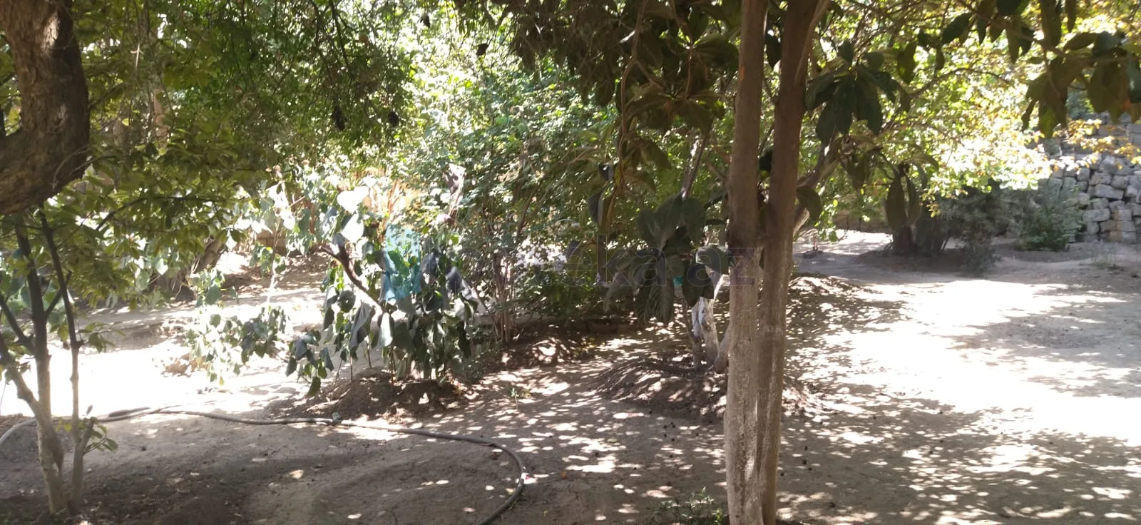Satılır: Torpaq, Sabunçu r., Bakıxanov q., 5.00 sot — Torpaq, Bakı (7)