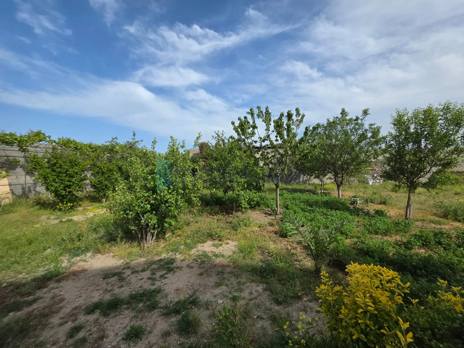 Satılır: Torpaq, Xəzər r., Şüvəlan q., 5.40 m² — Torpaq, Şüvəlan (3)