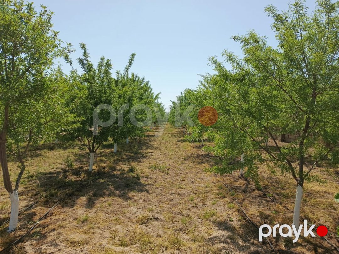 24 sot torpaq sahəsi, Maştağa qəs — Torpaq, Bakı