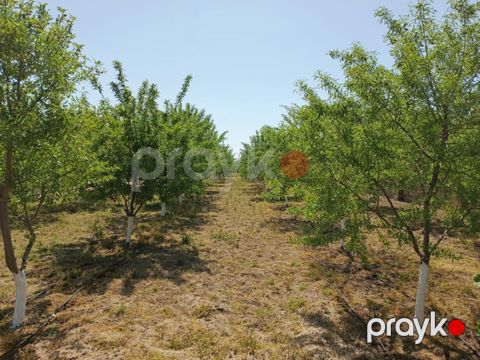 24 sot torpaq sahəsi, Maştağa qəs — Bakı