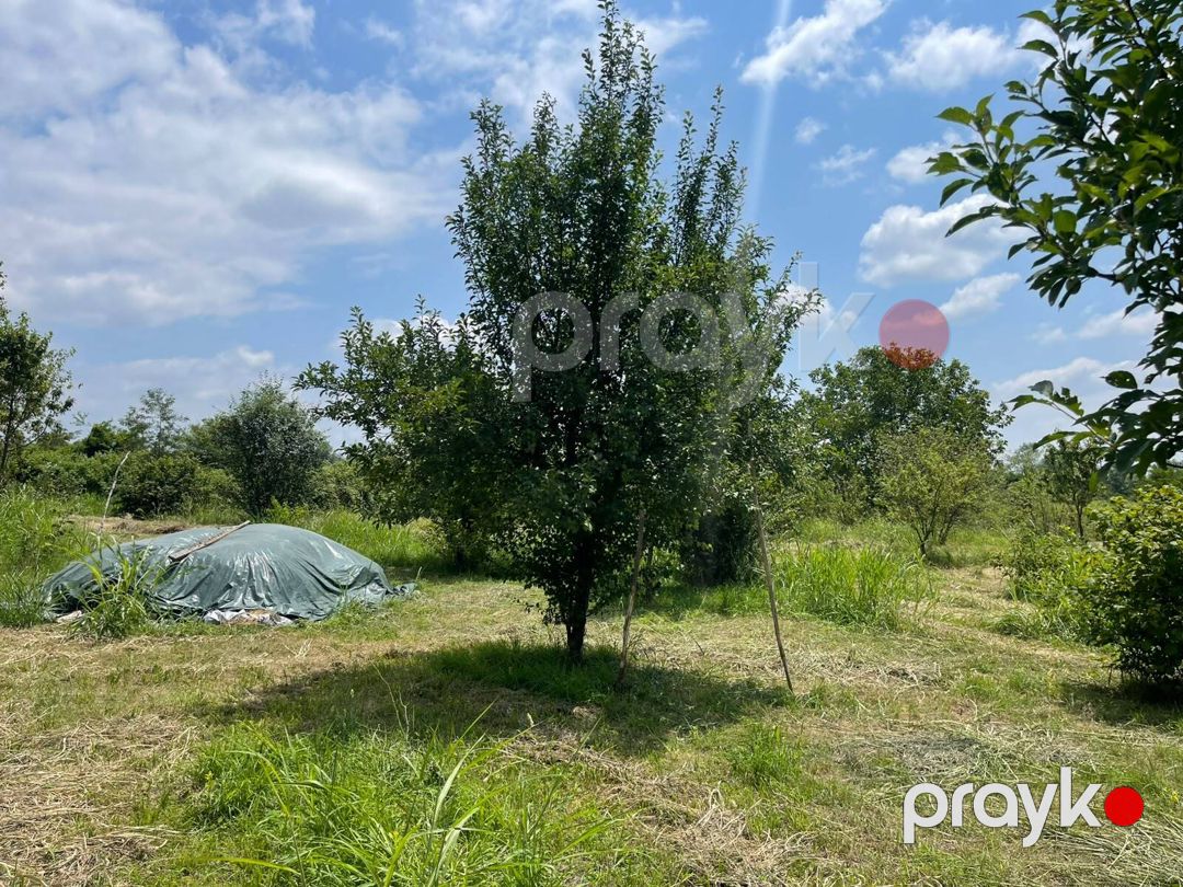 Satılır torpaq 80 sot — Torpaq, Qəbələ (2)