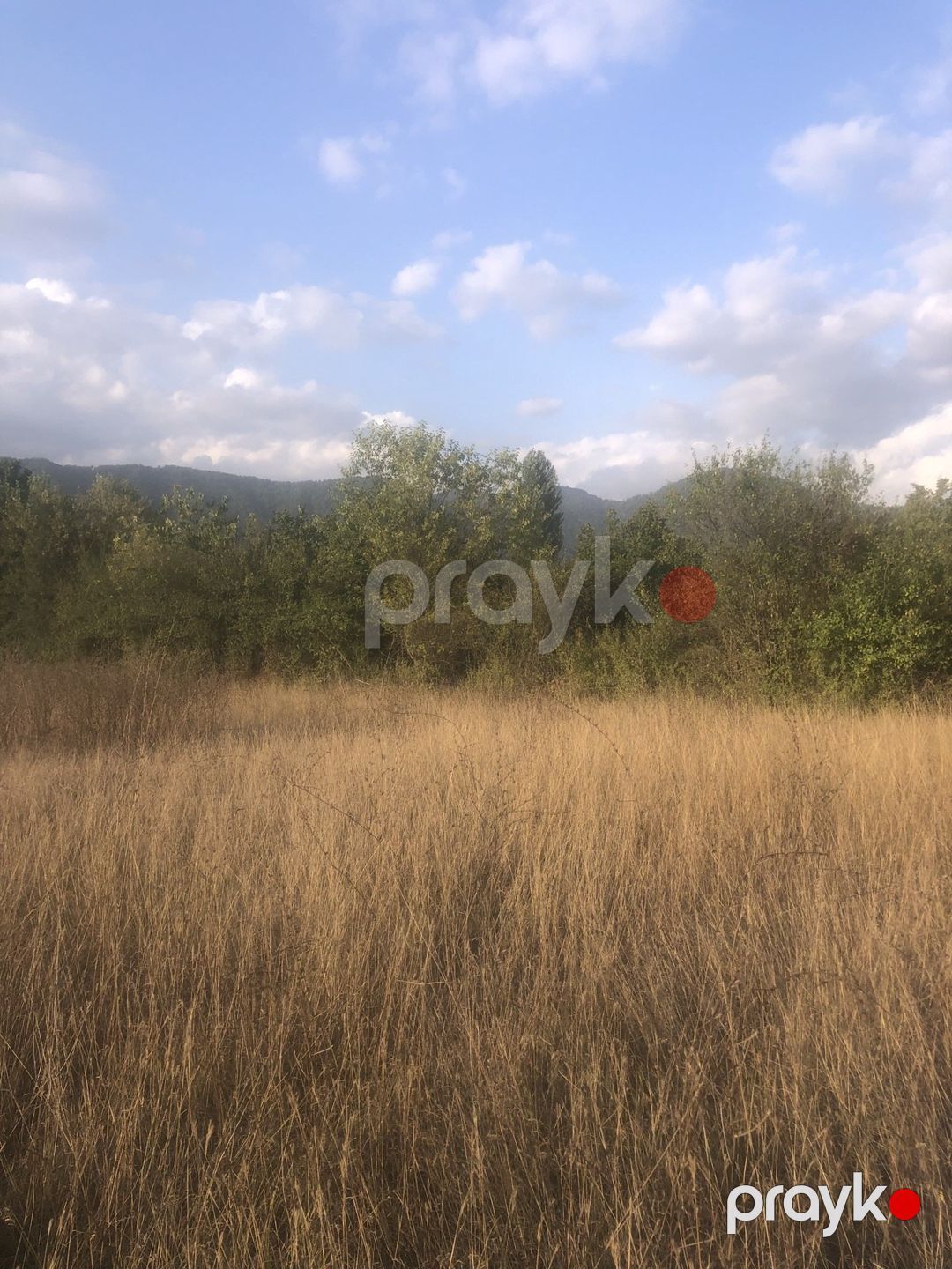 Satılır torpaq 50 sot — Torpaq, Qəbələ (2)