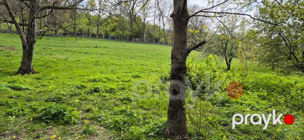 Satılır torpaq 45 sot — Torpaq, Quba (5)
