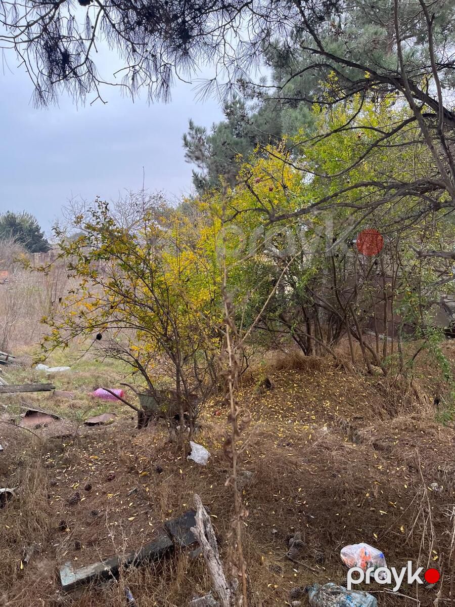 Satılır torpaq 7 sot — Torpaq, Bakı (2)