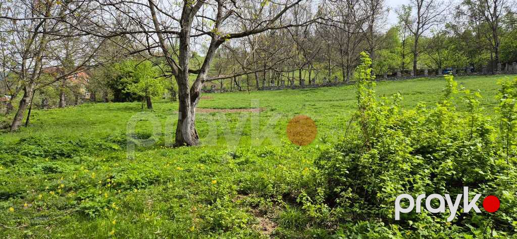 Satılır torpaq 45 sot — Torpaq, Quba (4)