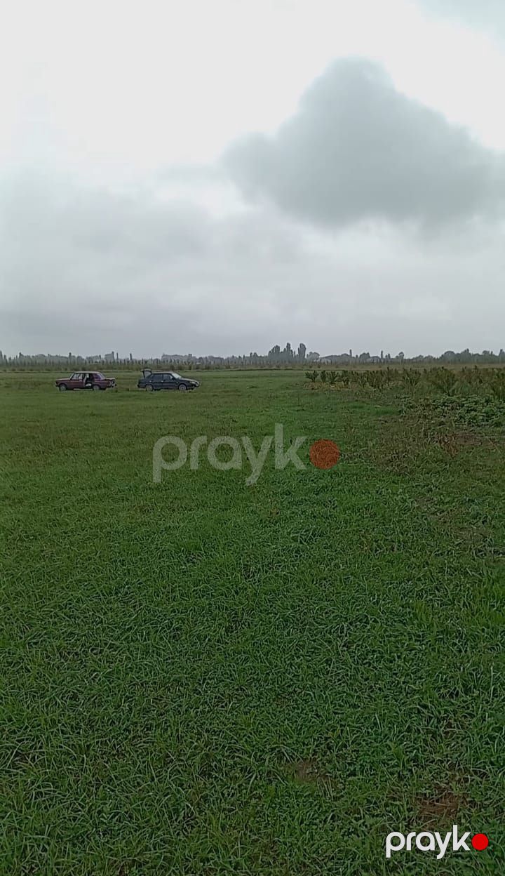 Xaçmaz rayon Qalağan kəntində 6 hektar torpaq sahəsi satıram şəxsi torpaqimdi suyu yay qış var yolu yaxşıdı 1 hektari şaftalı bağidi damla sistemidi ətrafı bağlardı çox əlverişli yerdi qiymətde razılaşmaq olar — Torpaq, Xaçmaz (2)