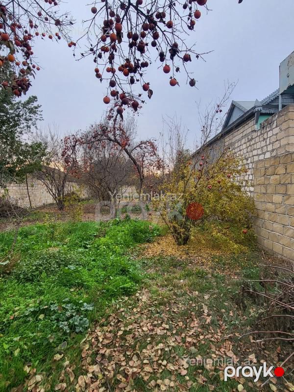 Satılır 3 otaqlı Həyət evi / Villa, 78 m², Bərdə — Ev, villa, Bərdə (9)