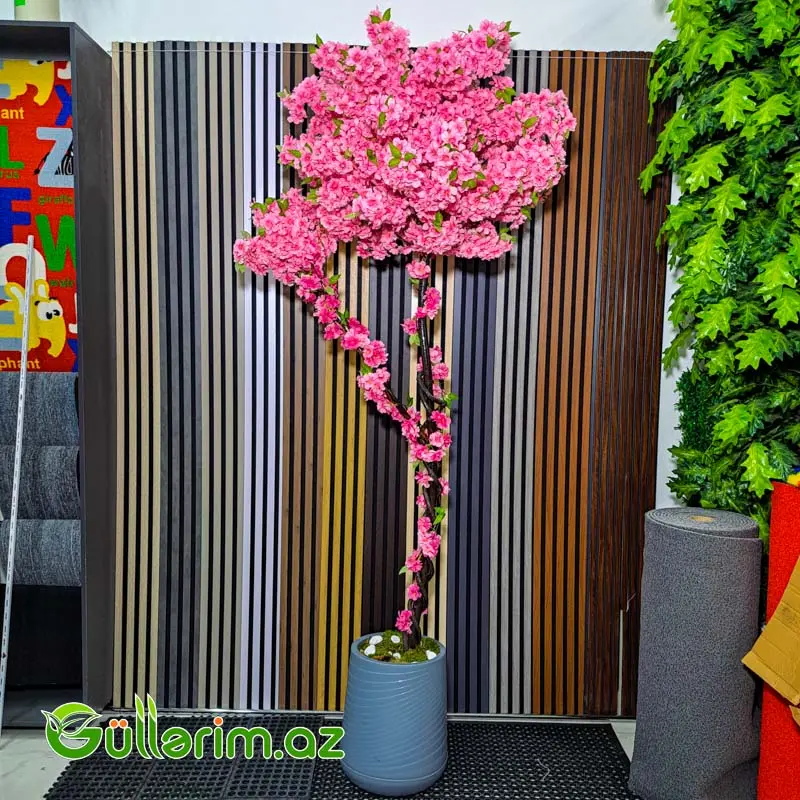 Süni Sakura Ağacı (Yapon Albalı Çiçəyi) — Bakı
