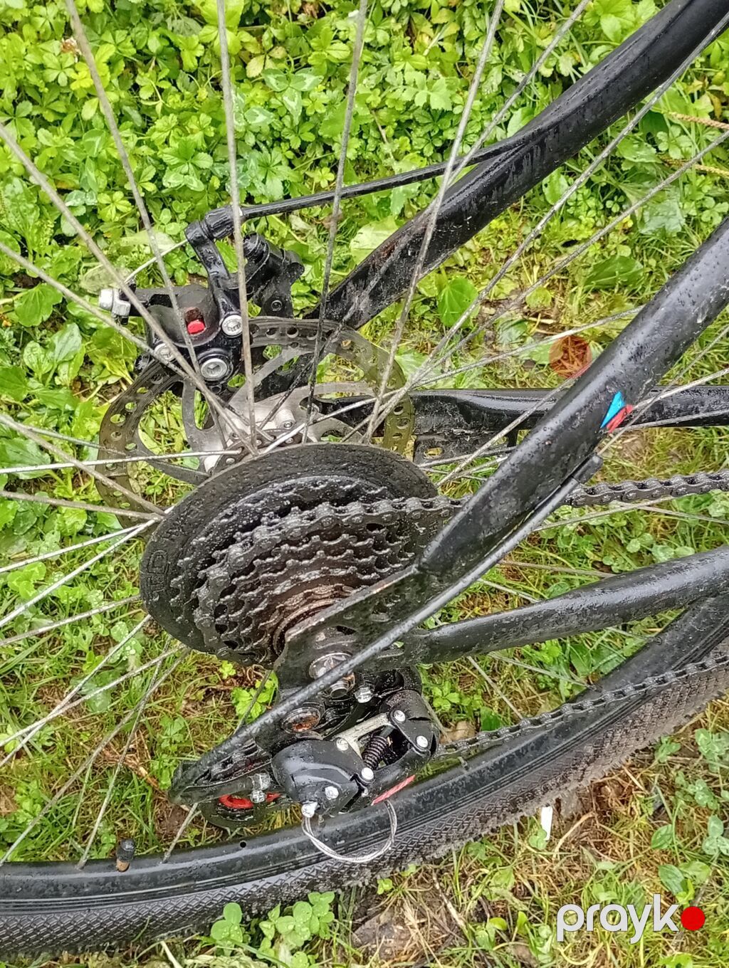 İşlənmiş Şəhər velosipedi Velocruz, 29", sürətlərin sayı: 7 — Yol velosipedləri, Quba (5)