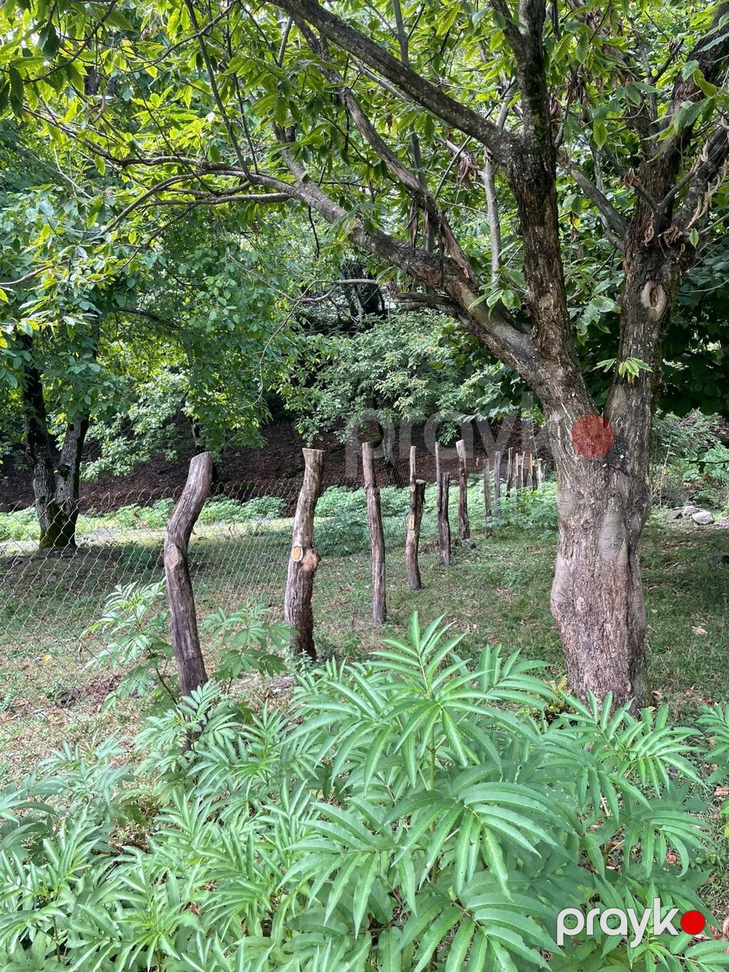 11 sot, Tikinti, Mülkiyyətçi, Kupça (Çıxarış) — Torpaq, Bakı (10)