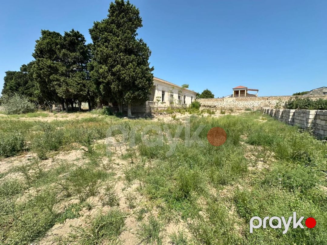 Satılır torpaq 19 sot — Torpaq, Bakı (3)