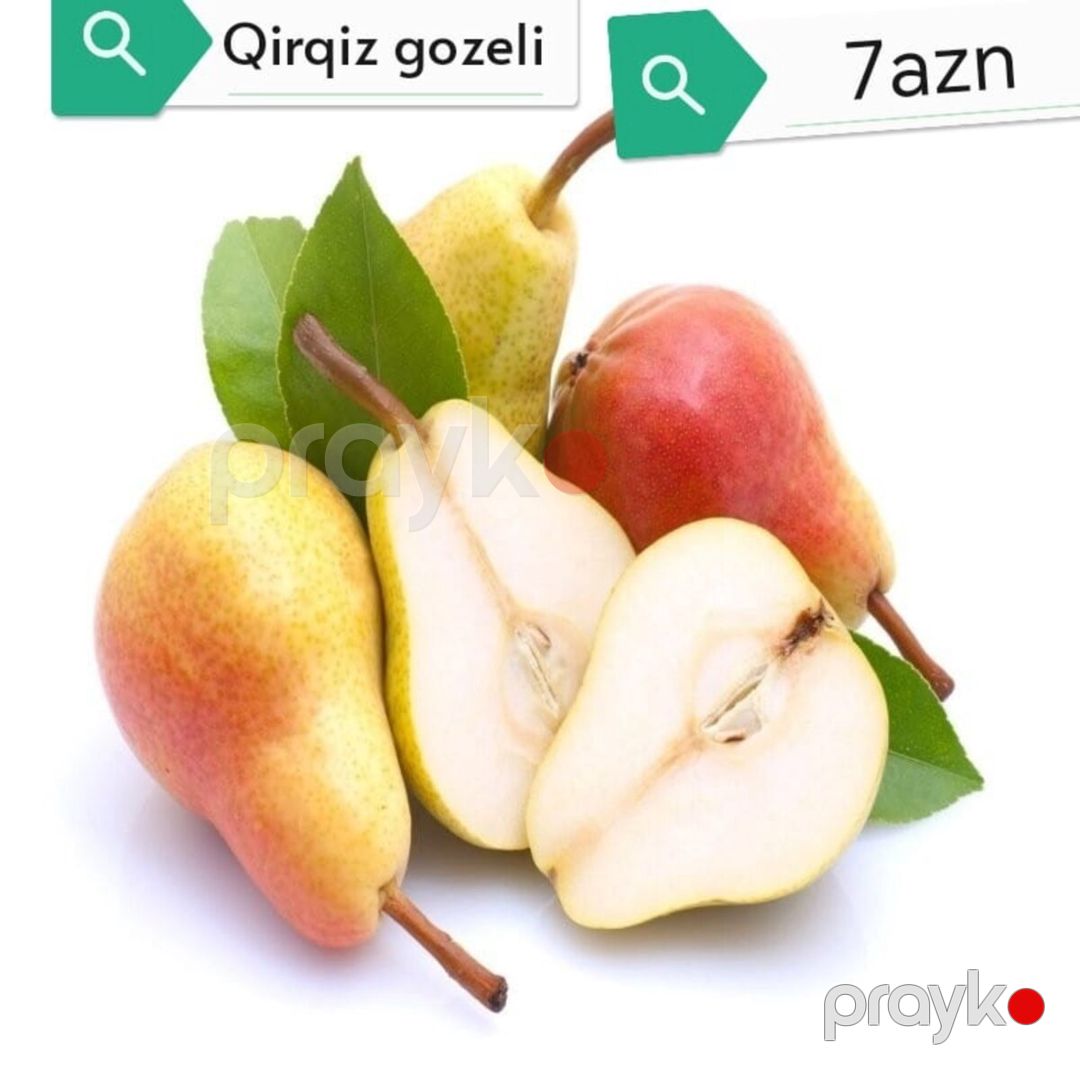 Meyvə ağacları — Bitkilər, Quba (9)