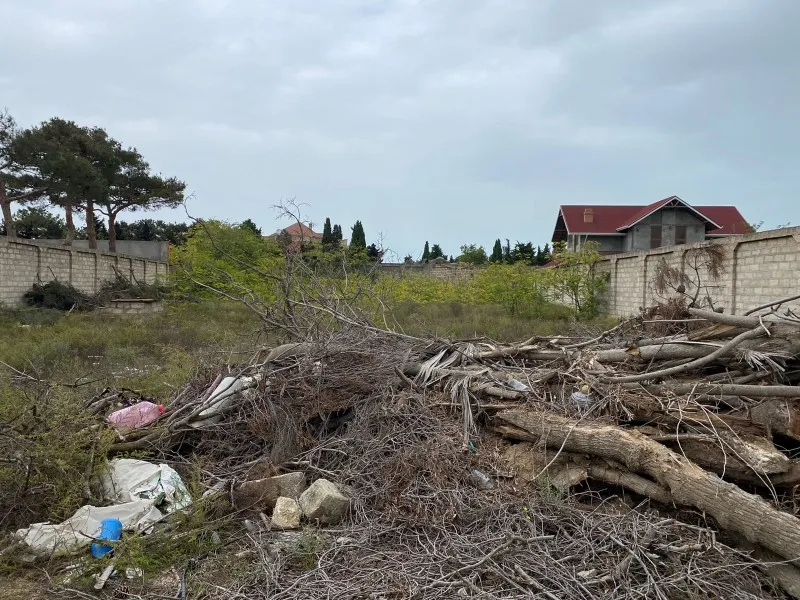 Mərdəkan, Torpaq satılır - 24.5 sot — Torpaq, Bakı (3)