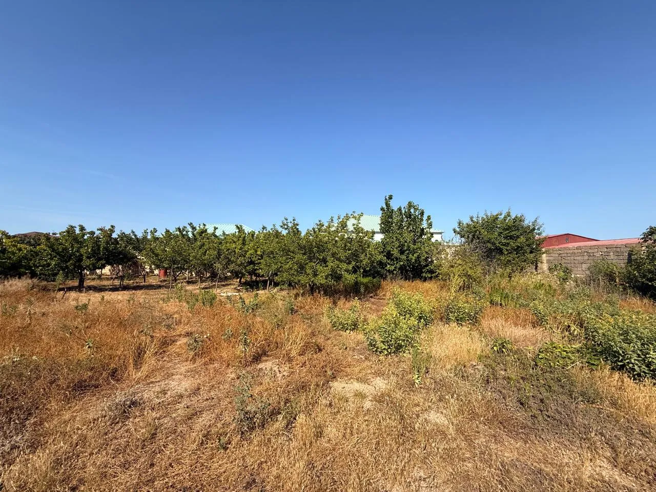 Şüvəlan, Torpaq satılır - 5 sot — Torpaq, Bakı (2)