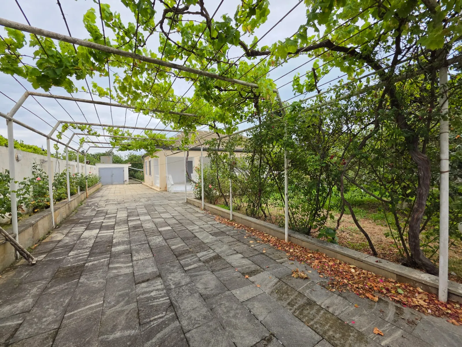 Fatmayı, Torpaq satılır - 24 sot — Torpaq, Bakı (6)