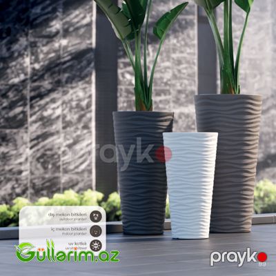 Plastik Dibçək (Seranova) — Bağ dekorasiyası, Bakı (8)