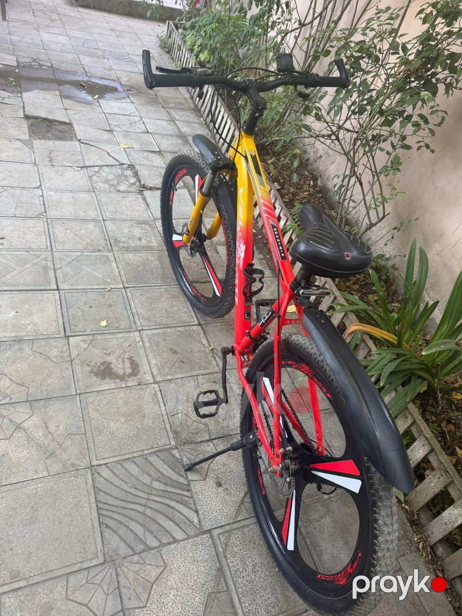 Velosiped — Velosipedlər, Bakı (2)
