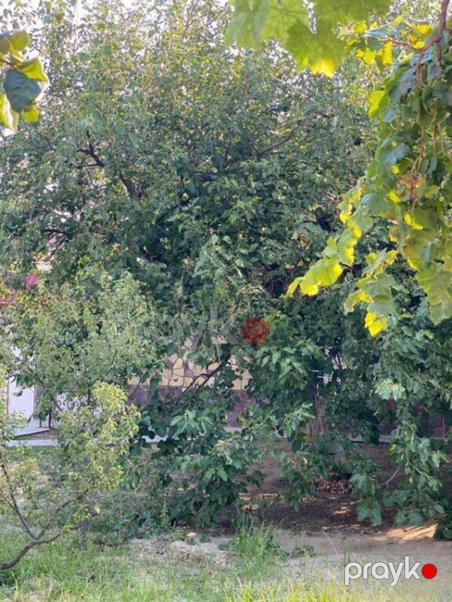 Satılır 4 otaqlı həyət evi/bağ evi 135 m² — Ev, villa, Bakı (9)