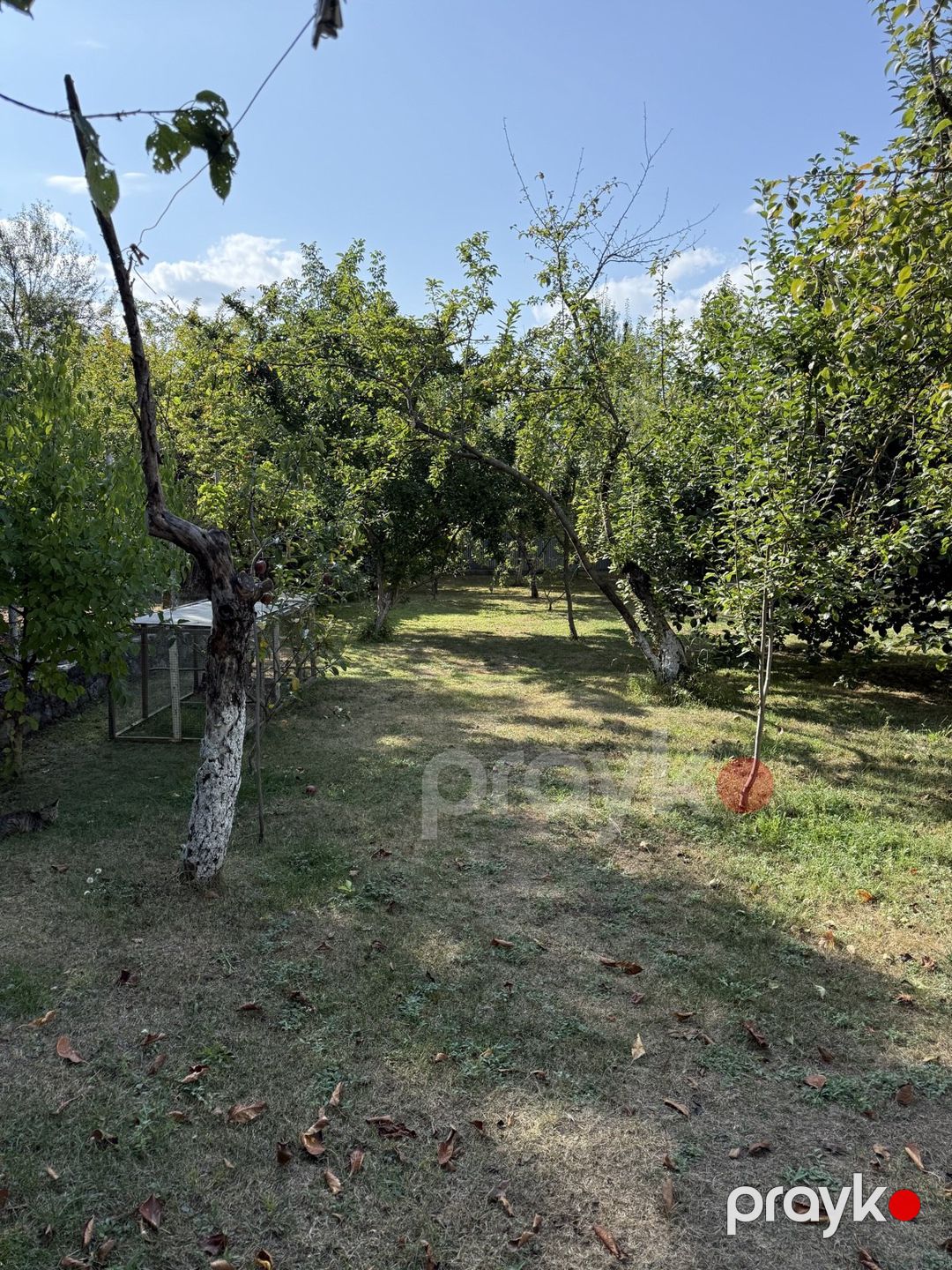 Satılır torpaq 8 sot — Torpaq, İsmayıllı (3)