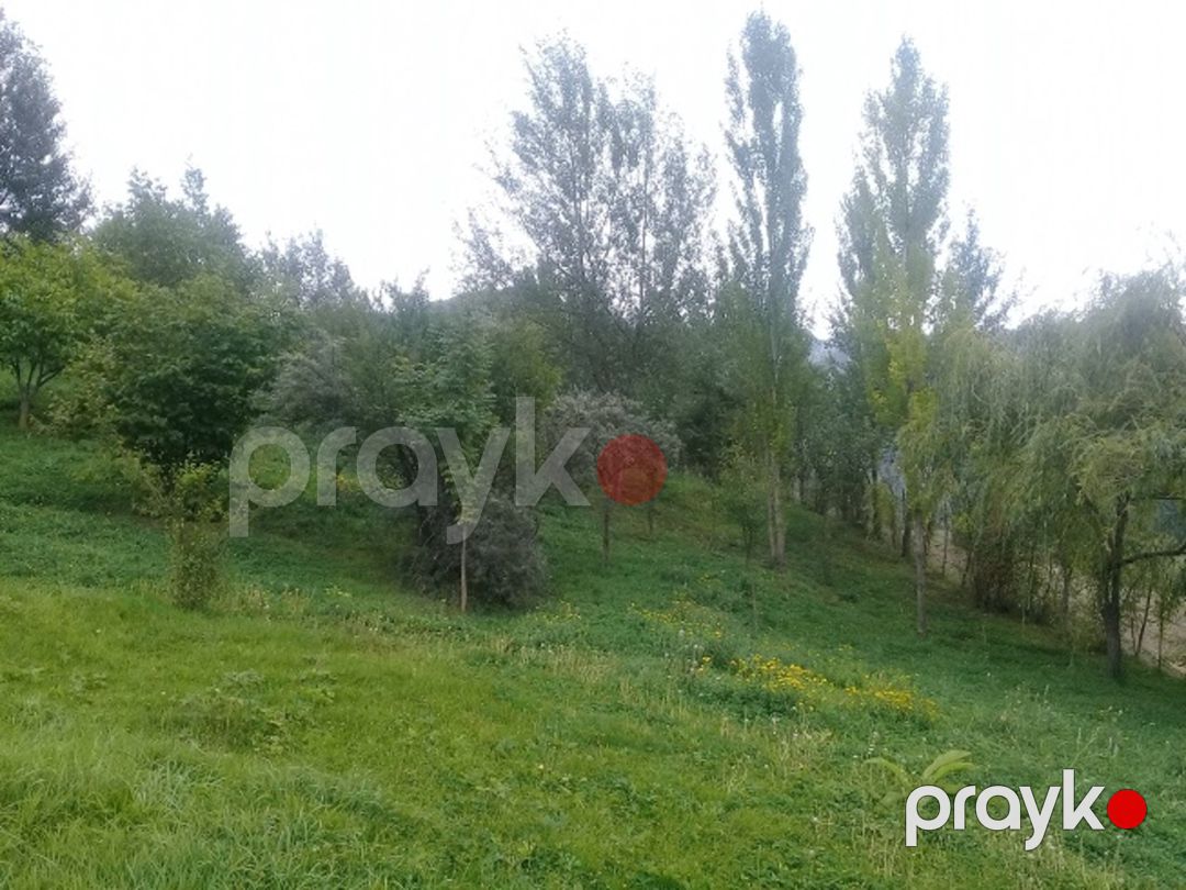 Satılır torpaq 16 sot — Torpaq, İsmayıllı (3)