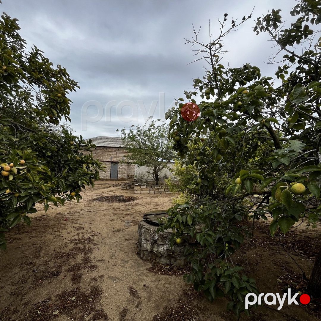 Satılır 5 otaqlı həyət evi/bağ evi 150 m² — Ev, villa, Bakı (6)