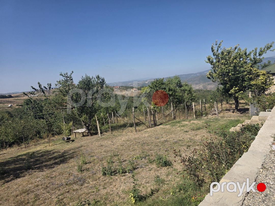 Satılır 4 otaqlı həyət evi/bağ evi 100 m² — Ev, villa, Şamaxı (4)