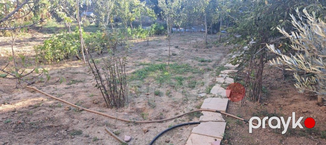 Satılır torpaq 9 sot — Torpaq, Bakı (2)