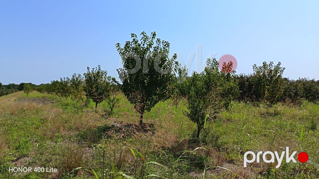 100 sot torpaq sahəsi, Xaçmaz r — Torpaq, Xaçmaz (3)
