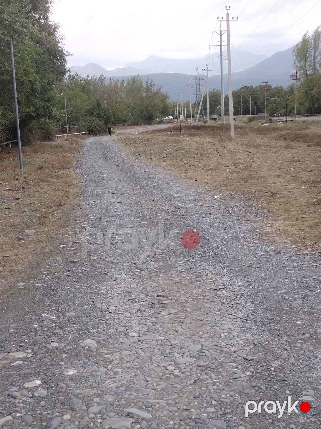 31 sot, Tikinti, Kupça (Çıxarış) — Torpaq, Qəbələ