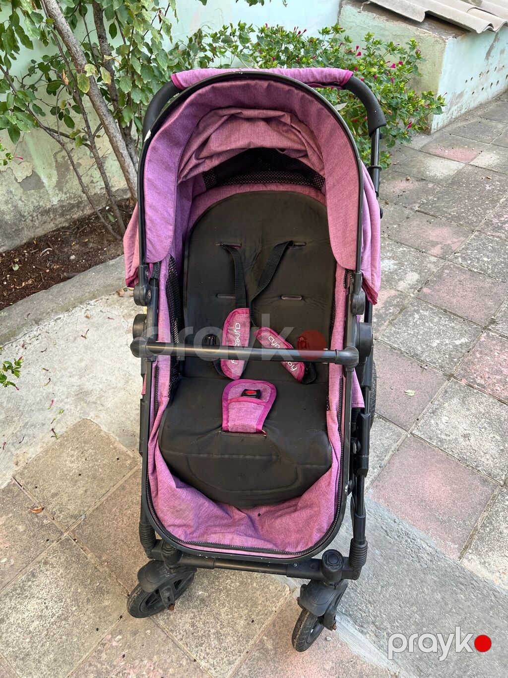 Uşaq arabası – Cynebaby, bənövşəyi rəng Xüsusiyyətlər: - 2-in-1 — Arabalalar, Xaçmaz (4)