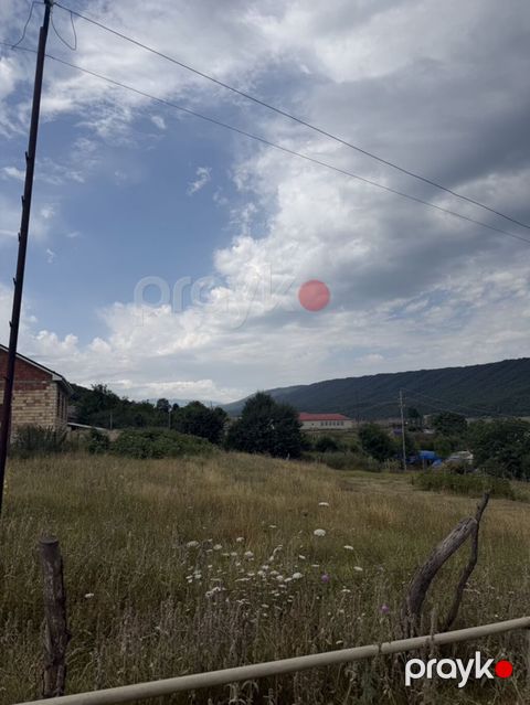 Tikinti