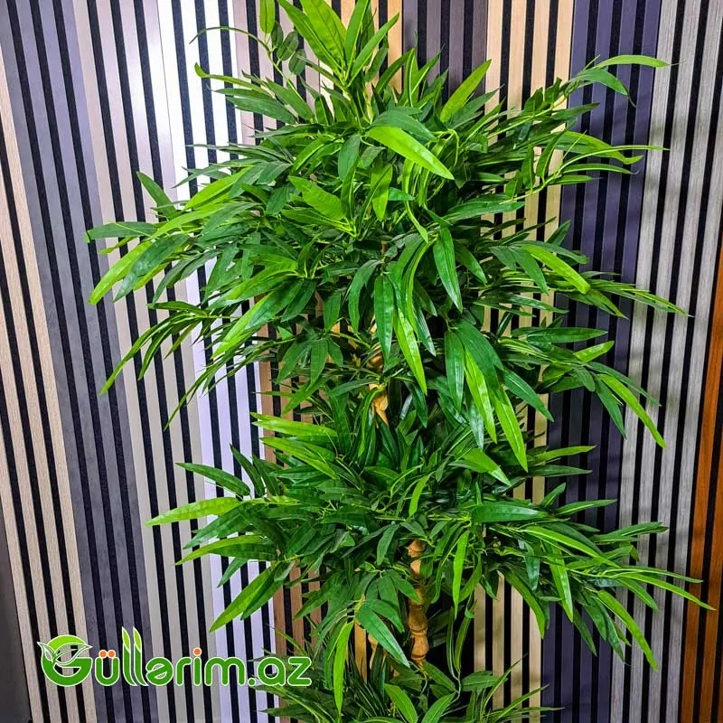 Bambuk Bitkisi (Artificial Bamboo Plant) — Dekor və interyeri, Bakı (2)