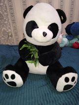 Boyuk olculu panda — aysel