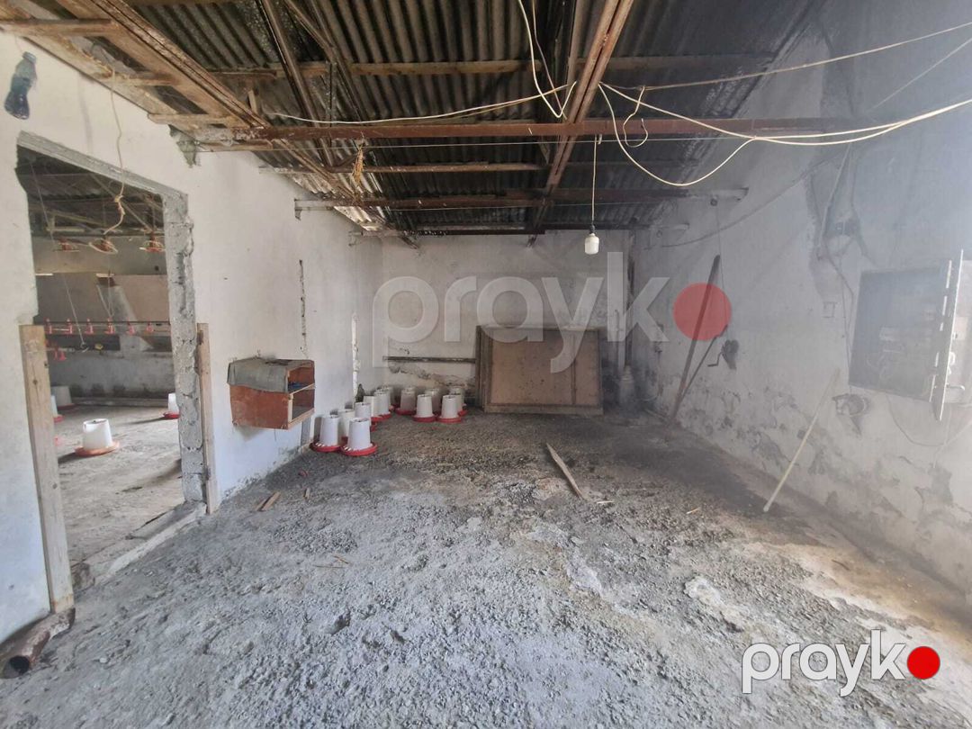 İcarəyə verilir obyekt 780 m² — Əmlak, Bakı (5)