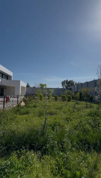 Şüvəlan, 5 otaqlı Həyət evi satılır - 450 m², 2 mərtəbə, 12 sot — Ev, villa, Bakı (4)