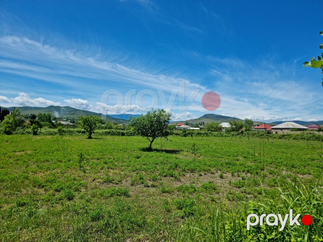 30 sot torpaq sahəsi, Şabran r — Torpaq, Şabran (3)