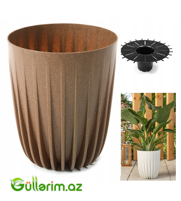 Lamela ECO Dibçək — Bağ dekorasiyası, Bakı (4)