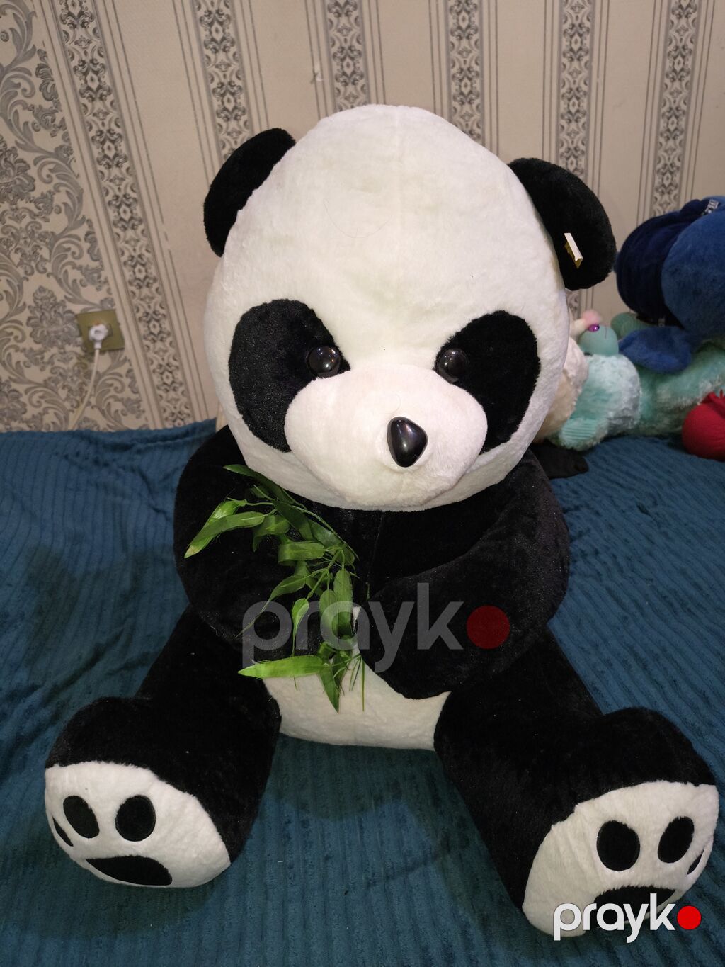 Boyuk olculu panda — Yumşaq oyuncaqlar, Masazır (2)