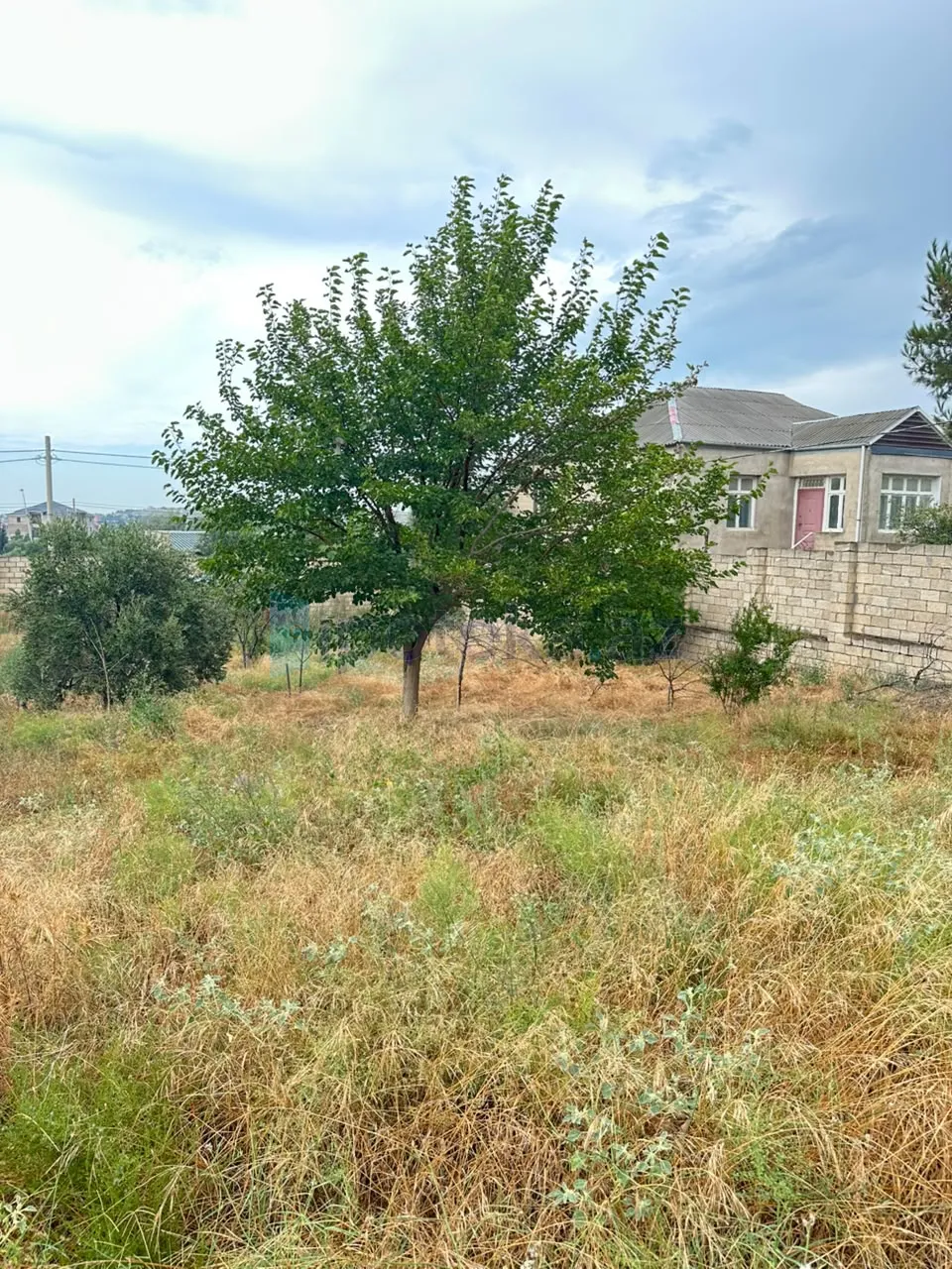 Satılır: Torpaq, Abşeron r., Saray q., 12.00 sot — Torpaq, Saray (7)