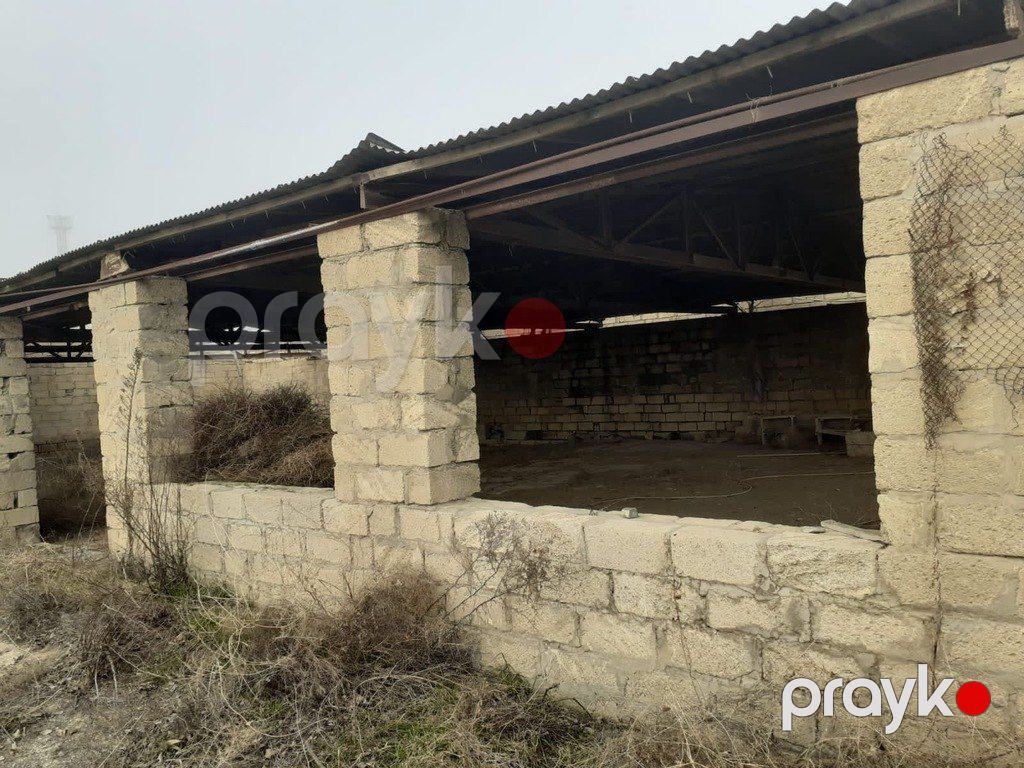 Satılır torpaq 200 sot — Torpaq, Bakı (9)