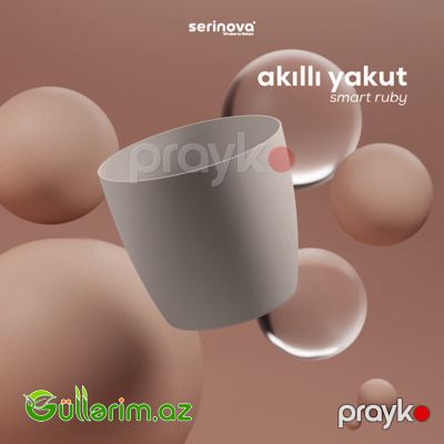 Plastik Dibçək 09 — Bağ dekorasiyası, Bakı (5)