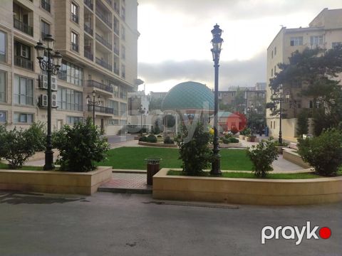 5 otaqlı, Yeni tikili, 303 kv. m — Bakı