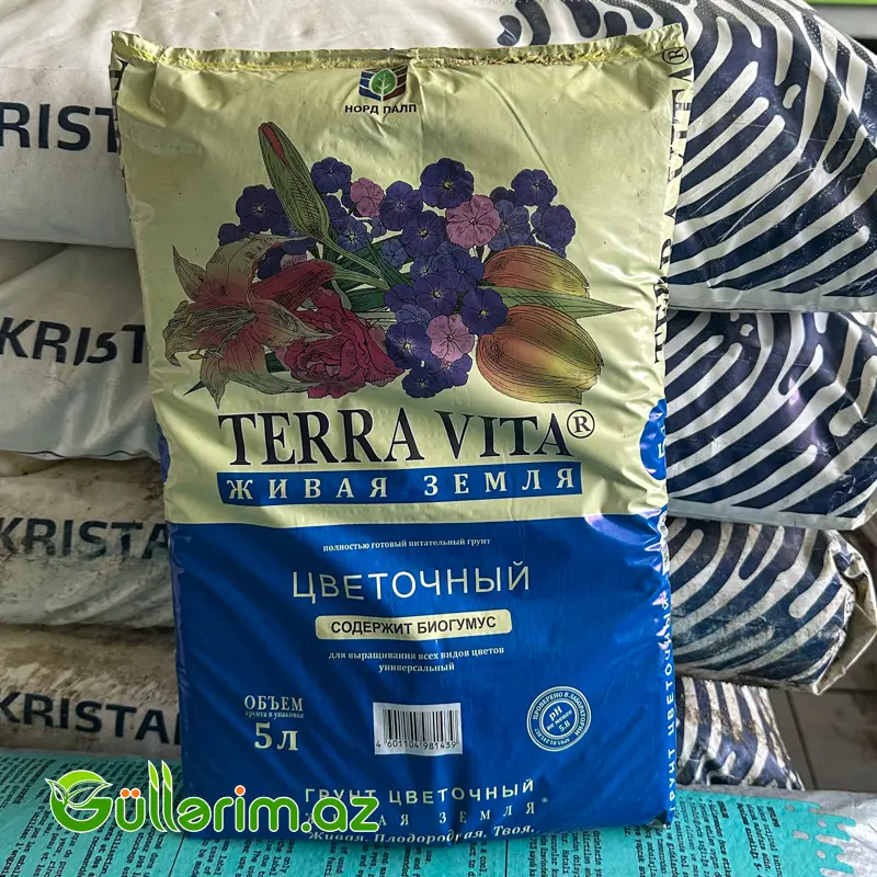 Terra Vita — Bakı