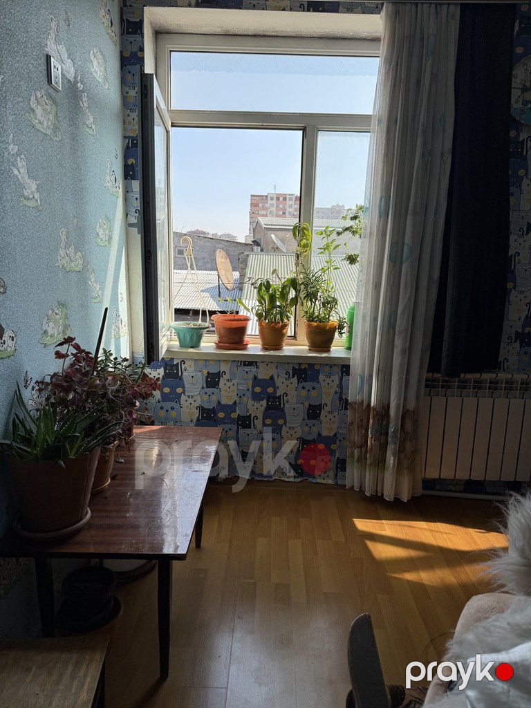 Həyət evi kirayə verilir, Yasamal r — Ev, villa, Bakı (4)