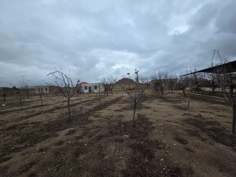 Qala, Torpaq satılır - 12 sot — Torpaq, Bakı (2)