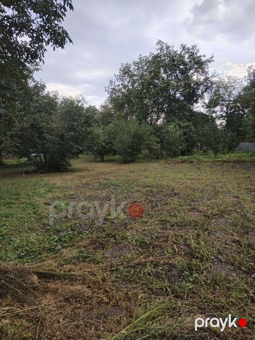 31 sot, Tikinti, Kupça (Çıxarış) — Torpaq, Qəbələ (4)