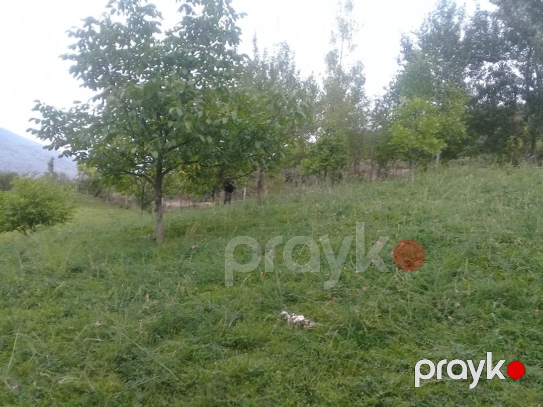 Satılır torpaq 16 sot — Torpaq, İsmayıllı (10)