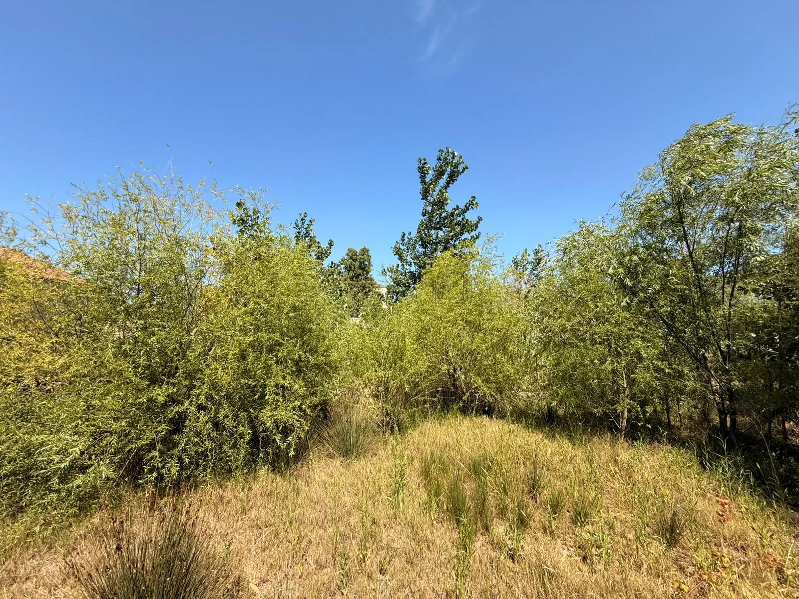 Şağan, Torpaq satılır - 20 sot — Torpaq, Bakı (4)