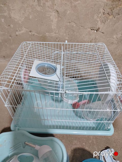 Hamster üçün tam set qəfəs - Ölçü: təxminən kiçik/orta (kompakt, asan — Bakı