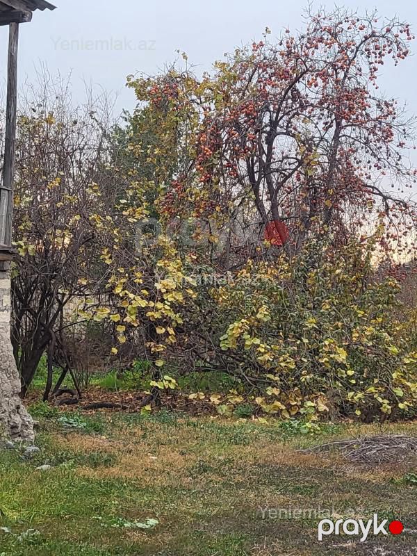 Satılır 3 otaqlı Həyət evi / Villa, 78 m², Bərdə — Ev, villa, Bərdə (10)